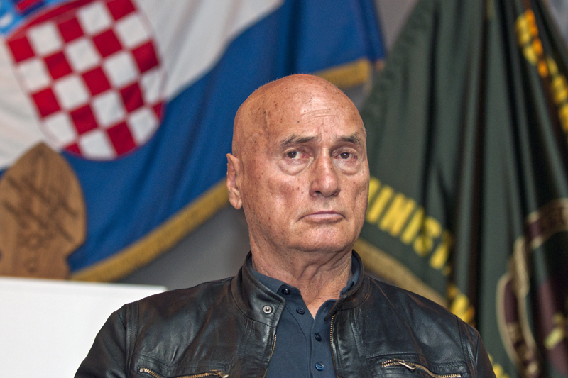 zvonimir hodak, srb