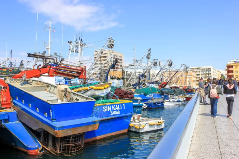 Zadar: Prosvjed tunolovaca u središtu zadarske luke…novim pravilnikom sva nam se prava oduzimaju!FOTO