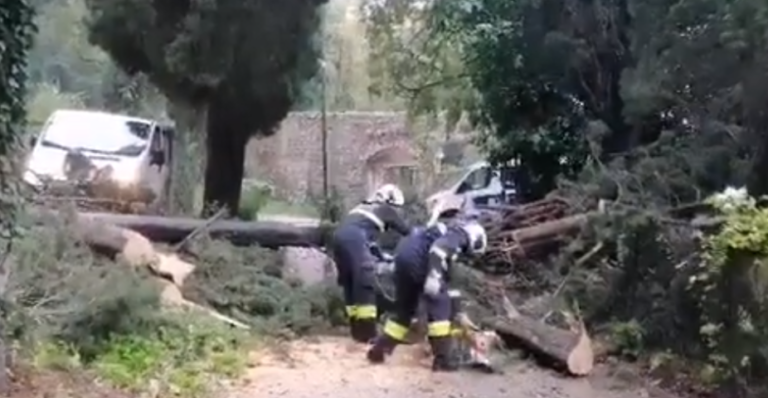 VIDEO-OLUJA POHARALA DALMACIJU: U Dubrovniku padala stabla i stupovi, a u Splitu fasada na zgradi Zdravstvene škole